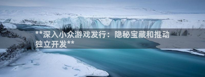 新航娱乐的创始人简介是谁：**深入小众游戏发行：隐秘宝藏和推动
独立开发**