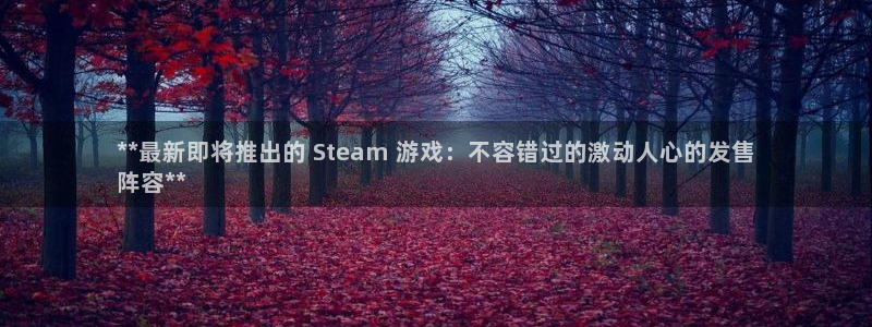 新航娱乐公司扣费流程详解表图片：**最新即将推出的 Steam 游戏：不容错过的激动人心的发售
阵容**